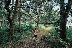 BIB: 
                            <button type="button" onclick="openModal(25662552)" class="btn btn-primary btn-sm float-right btn-popup" data-toggle="modal" data-target=".modal-high-quality">
                        <i class="fas fa-shopping-cart"></i> Add to Cart
                    </button>
                                            <button type="button" onclick="isThisMe(25662552, true)" class="btn btn-success btn-sm float-right btn-popup btn-isme hidden" data-toggle="tooltip" data-placement="bottom" title="นี่คือรูปของคุณใช่ไหม คลิกที่นี่เพื่อเอาเข้าอัลบั้ม">
                        <i class="fas fa-plus"></i> Add to album
                    </button>
                    <button type="button" onclick="isThisMe(25662552, false)" class="btn btn-warning btn-sm float-right btn-popup btn-isnotme hidden">
                        <i class="fas fa-ban"></i> Remove from album
                    </button>